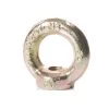 Crane Lifting Eyenut Zinc Plated - DIN582 Standard - Component Size - 22mm