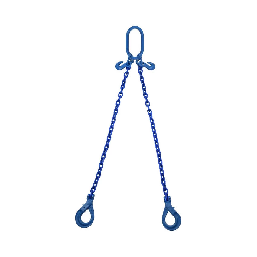 Crane Grade 100 Two Leg Chain Sling 10mm - 2.0m